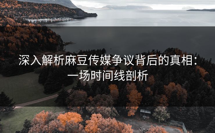 深入解析麻豆传媒争议背后的真相：一场时间线剖析