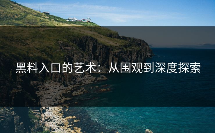 黑料入口的艺术：从围观到深度探索